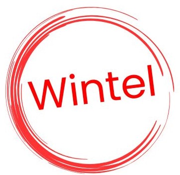 Wintel SRL - Consulenza Sicurezza Latina